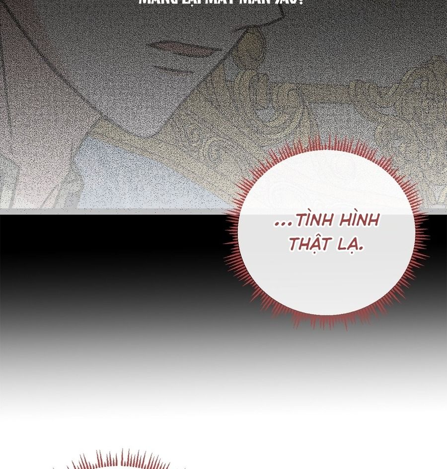 Không Bao Giờ Trở Về Gia Đình Đã Bỏ Rơi Tôi Chapter 64 - Trang 2