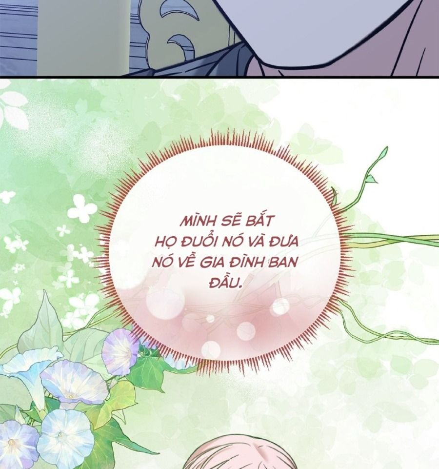 Không Bao Giờ Trở Về Gia Đình Đã Bỏ Rơi Tôi Chapter 65 - Trang 2