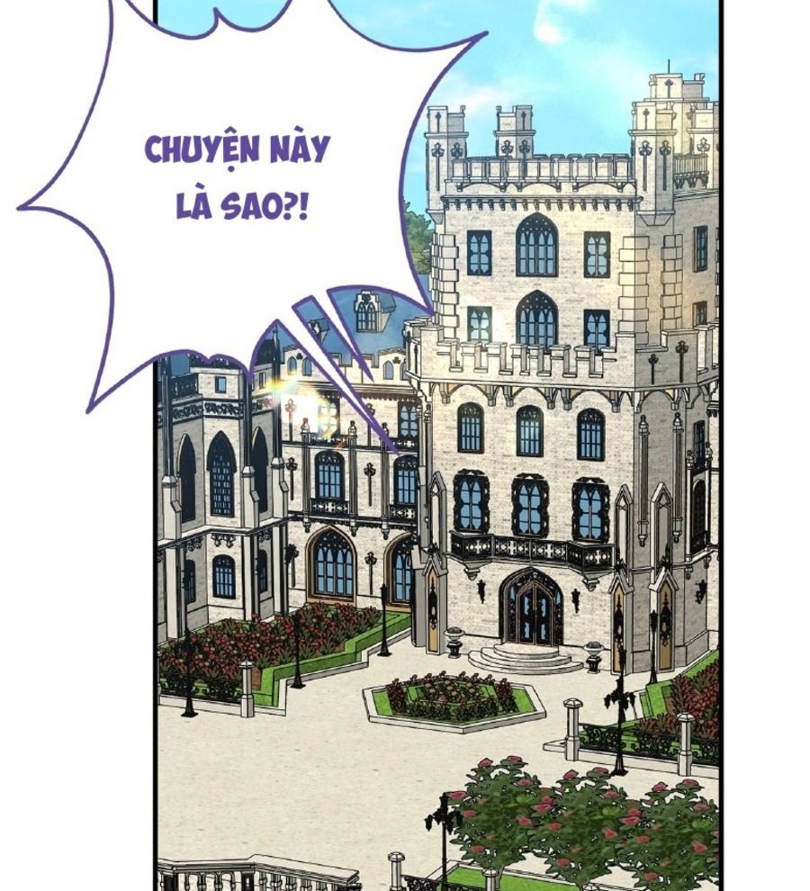 Không Bao Giờ Trở Về Gia Đình Đã Bỏ Rơi Tôi Chapter 65 - Trang 2