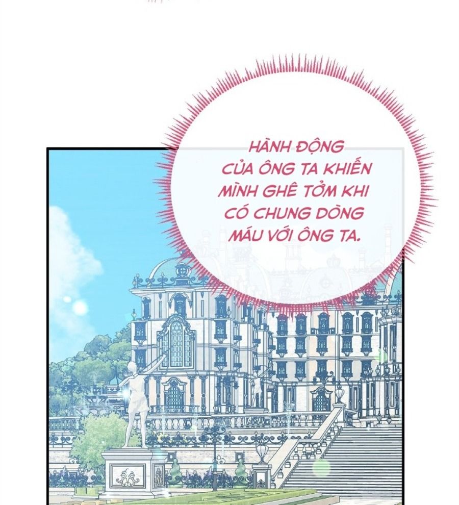 Không Bao Giờ Trở Về Gia Đình Đã Bỏ Rơi Tôi Chapter 65 - Trang 2