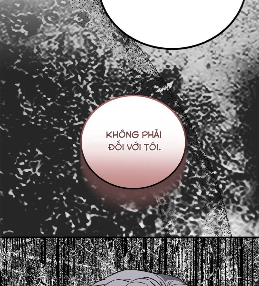 Không Bao Giờ Trở Về Gia Đình Đã Bỏ Rơi Tôi Chapter 65 - Trang 2