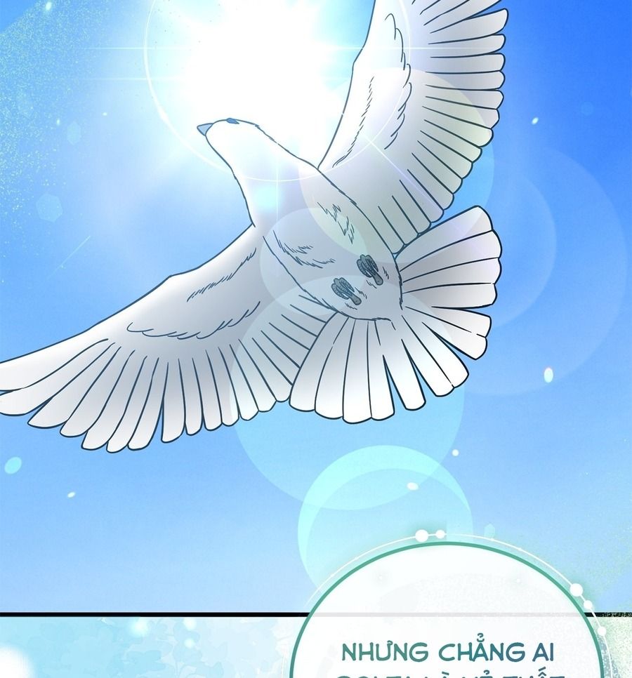 Không Bao Giờ Trở Về Gia Đình Đã Bỏ Rơi Tôi Chapter 76 - Trang 2