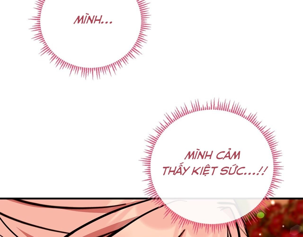 Không Bao Giờ Trở Về Gia Đình Đã Bỏ Rơi Tôi Chapter 77 - Trang 2