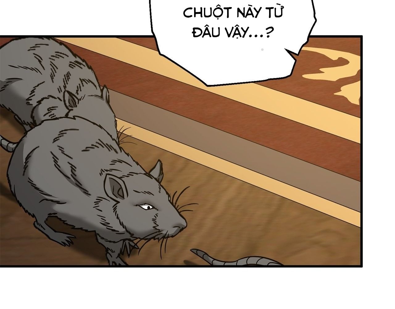 Không Bao Giờ Trở Về Gia Đình Đã Bỏ Rơi Tôi Chapter 77 - Trang 2