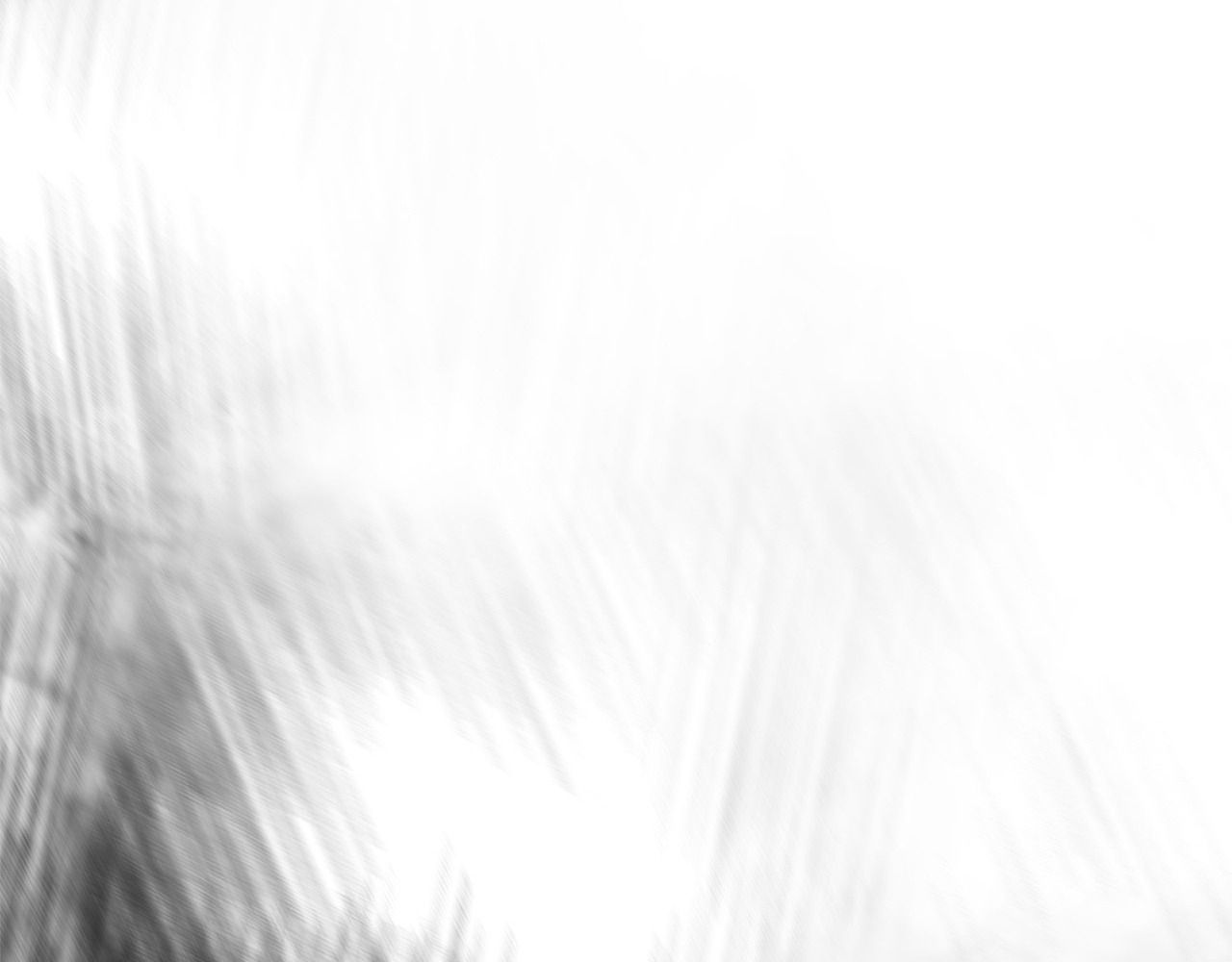 Không Bao Giờ Trở Về Gia Đình Đã Bỏ Rơi Tôi Chapter 77 - Trang 2