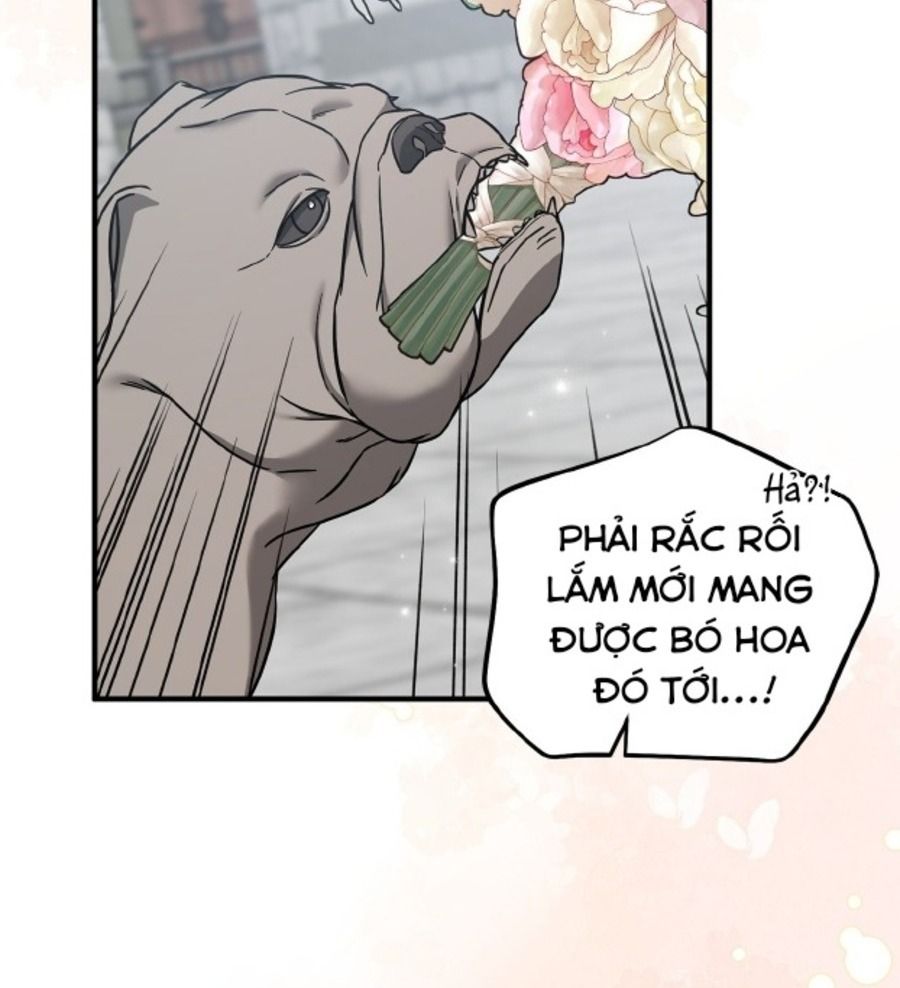 Không Bao Giờ Trở Về Gia Đình Đã Bỏ Rơi Tôi Chapter 80 - Trang 2
