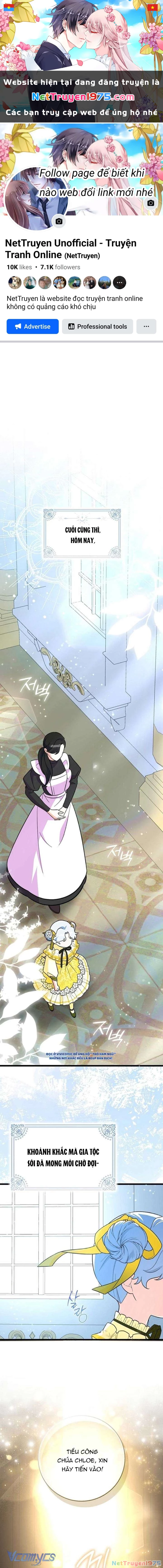 Thỏ Á? Rõ Ràng Là Mãnh Thú Cơ Mà! Chapter 3 - Trang 2