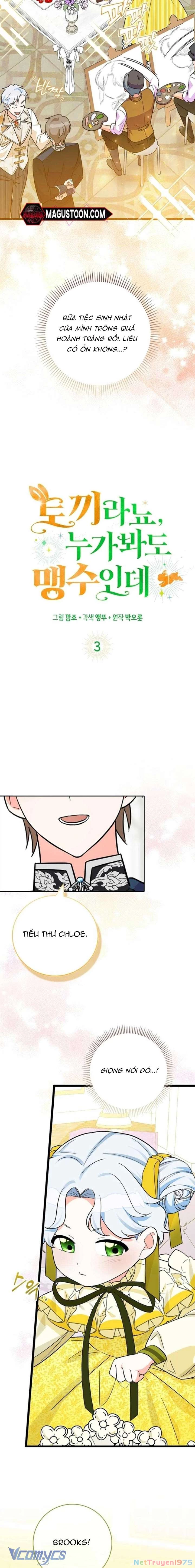 Thỏ Á? Rõ Ràng Là Mãnh Thú Cơ Mà! Chapter 3 - Trang 2