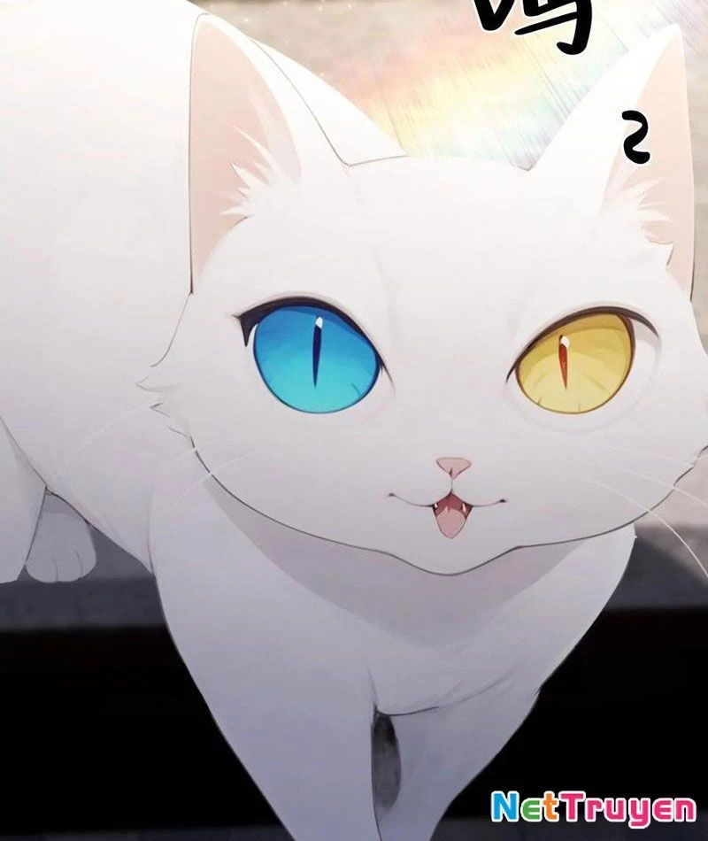 Ảo Ma! Ta Mở Lớp Huấn Luyện Nữ Đế! Chapter 87 - Trang 2