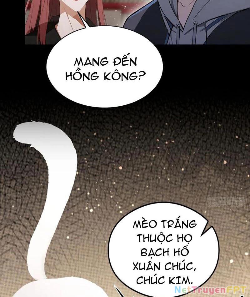 Ảo Ma! Ta Mở Lớp Huấn Luyện Nữ Đế! Chapter 87 - Trang 2