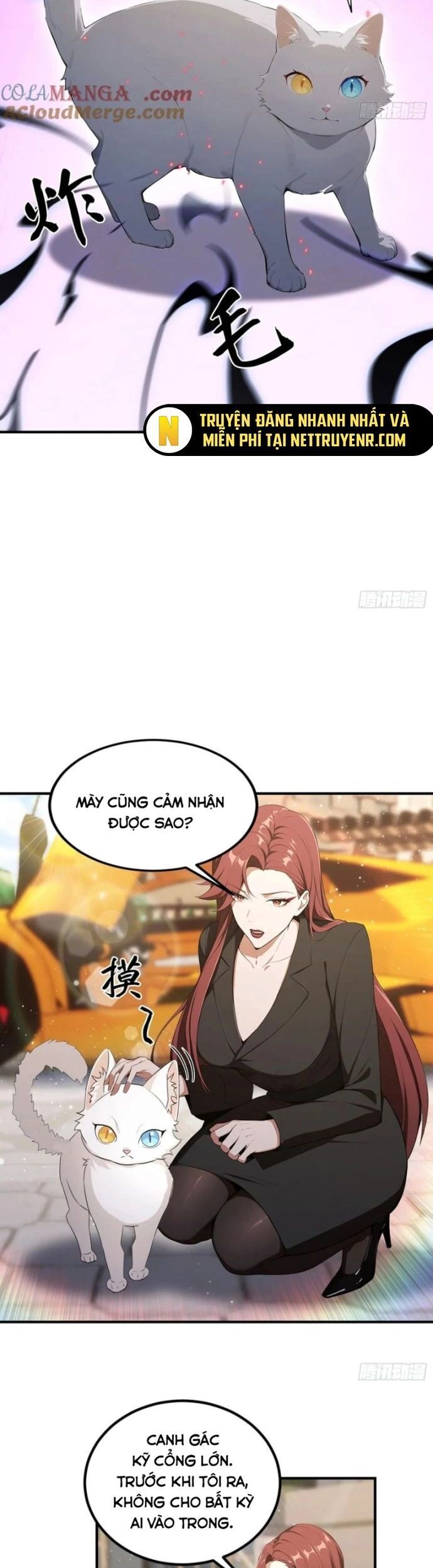 Ảo Ma! Ta Mở Lớp Huấn Luyện Nữ Đế! Chapter 93 - Trang 2
