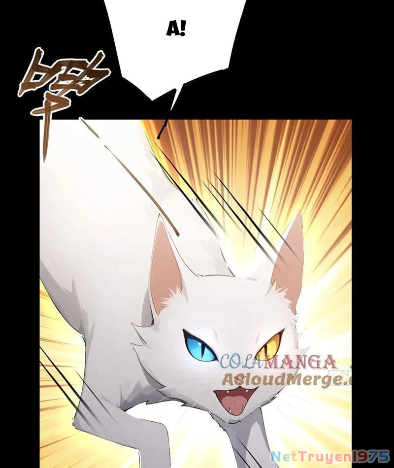 Ảo Ma! Ta Mở Lớp Huấn Luyện Nữ Đế! Chapter 95 - Trang 2