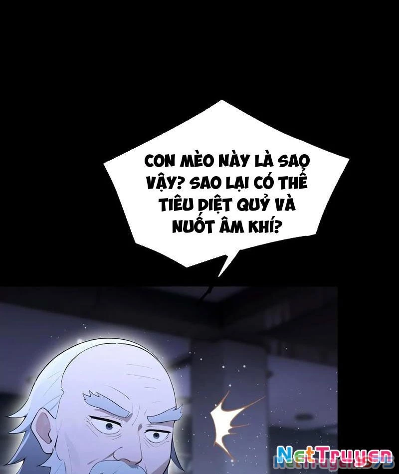 Ảo Ma! Ta Mở Lớp Huấn Luyện Nữ Đế! Chapter 95 - Trang 2