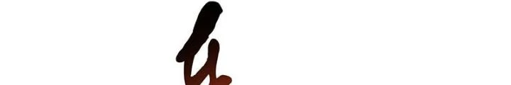 Nam Chủ Và Hậu Cung Đều Là Của Ta Chapter 56 - Trang 2