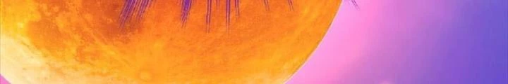 Nam Chủ Và Hậu Cung Đều Là Của Ta Chapter 77 - Trang 2