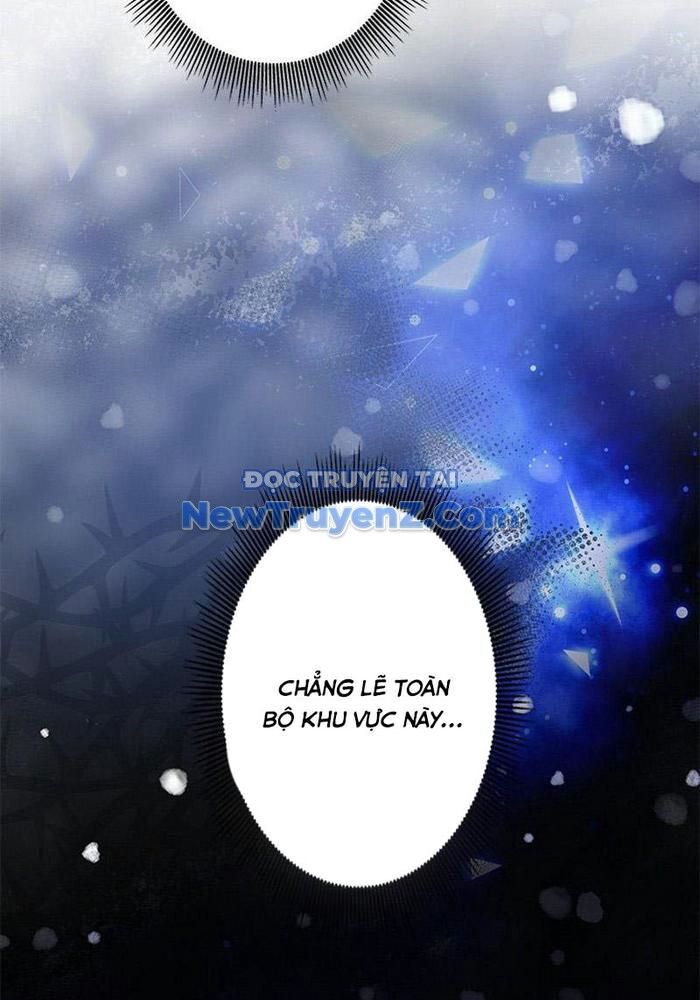 Vua Gacha Trùm Game Thủ Chapter 40 - Trang 2