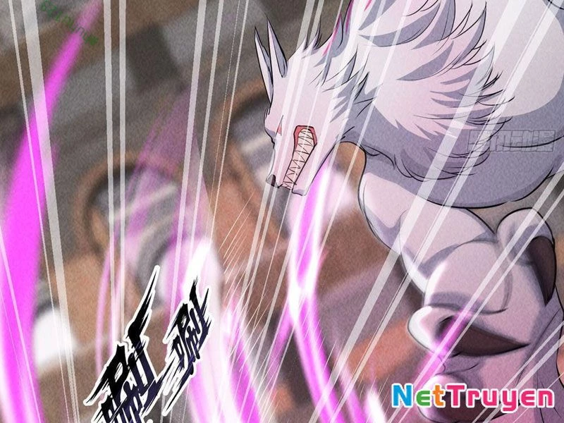 Thần Cấp Ngự Vật: Ta Có Thể Ký Vô Hạn Khế Ước Với Nữ Thần Chapter 14 - Trang 2