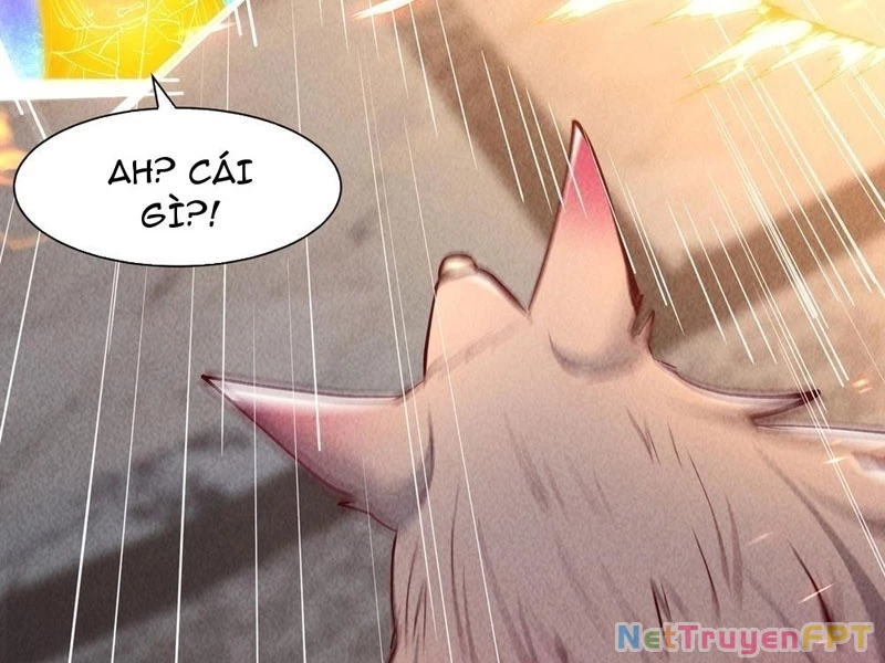 Thần Cấp Ngự Vật: Ta Có Thể Ký Vô Hạn Khế Ước Với Nữ Thần Chapter 14 - Trang 2