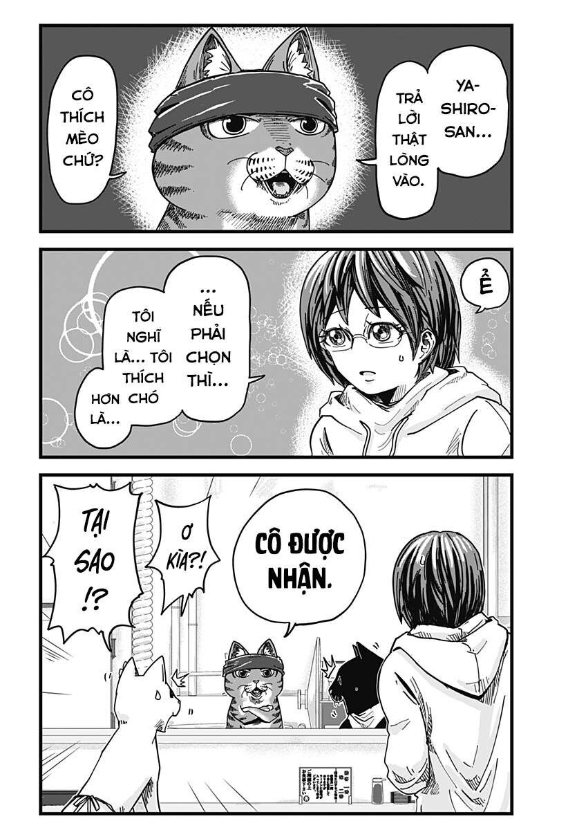 Quán Ramen Mèo Đỏ Chapter 1 - Trang 2