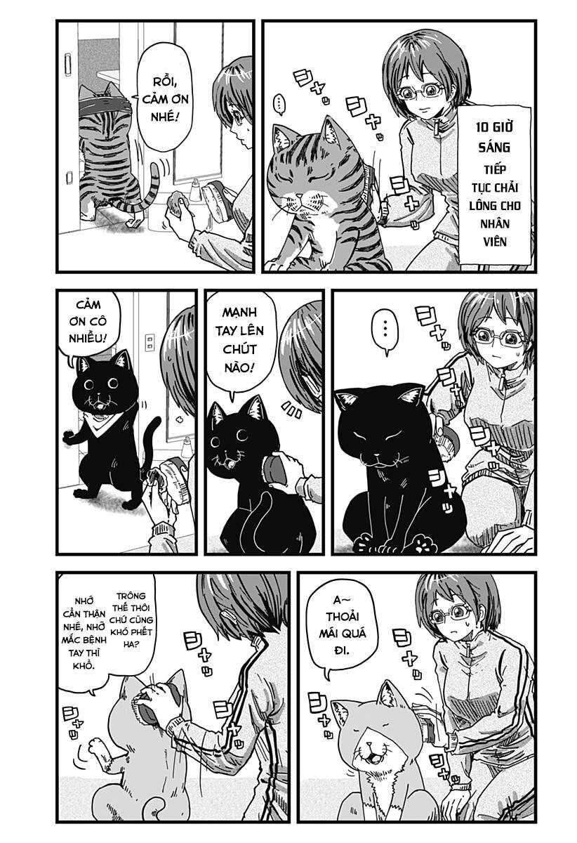 Quán Ramen Mèo Đỏ Chapter 2 - Trang 2