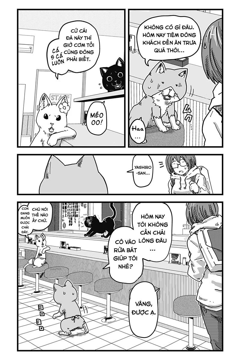 Quán Ramen Mèo Đỏ Chapter 7 - Trang 2