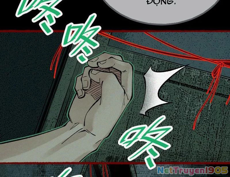 Thu Thi Nhân: Mở Đầu Bằng Việc Giải Phẫu Bạn Gái Cũ Chapter 19 - Trang 2