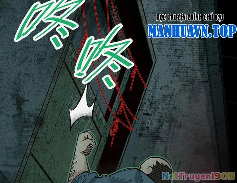 Thu Thi Nhân: Mở Đầu Bằng Việc Giải Phẫu Bạn Gái Cũ Chapter 19 - Trang 2