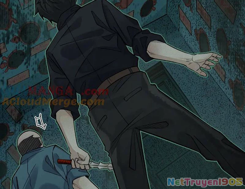 Thu Thi Nhân: Mở Đầu Bằng Việc Giải Phẫu Bạn Gái Cũ Chapter 19 - Trang 2