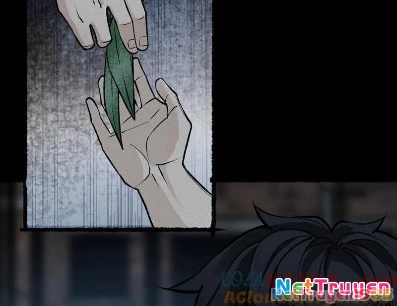 Thu Thi Nhân: Mở Đầu Bằng Việc Giải Phẫu Bạn Gái Cũ Chapter 19 - Trang 2
