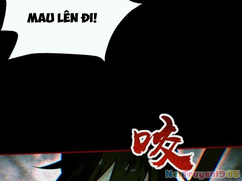 Thu Thi Nhân: Mở Đầu Bằng Việc Giải Phẫu Bạn Gái Cũ Chapter 29 - Trang 2