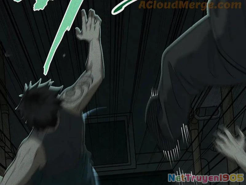 Thu Thi Nhân: Mở Đầu Bằng Việc Giải Phẫu Bạn Gái Cũ Chapter 29 - Trang 2