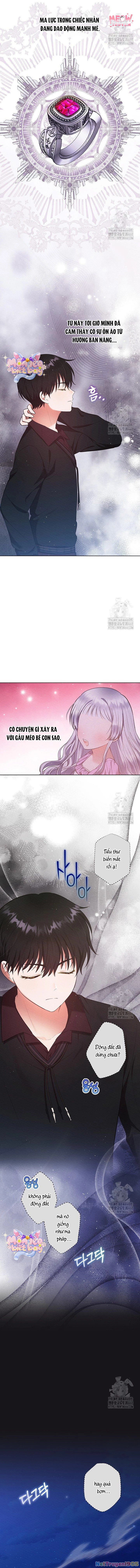 Tôi Ở Đây Để Trả Thù Chapter 49 - Trang 2