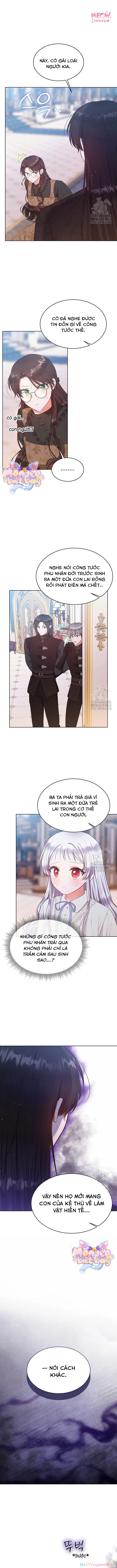 Tôi Ở Đây Để Trả Thù Chapter 52 - Trang 2