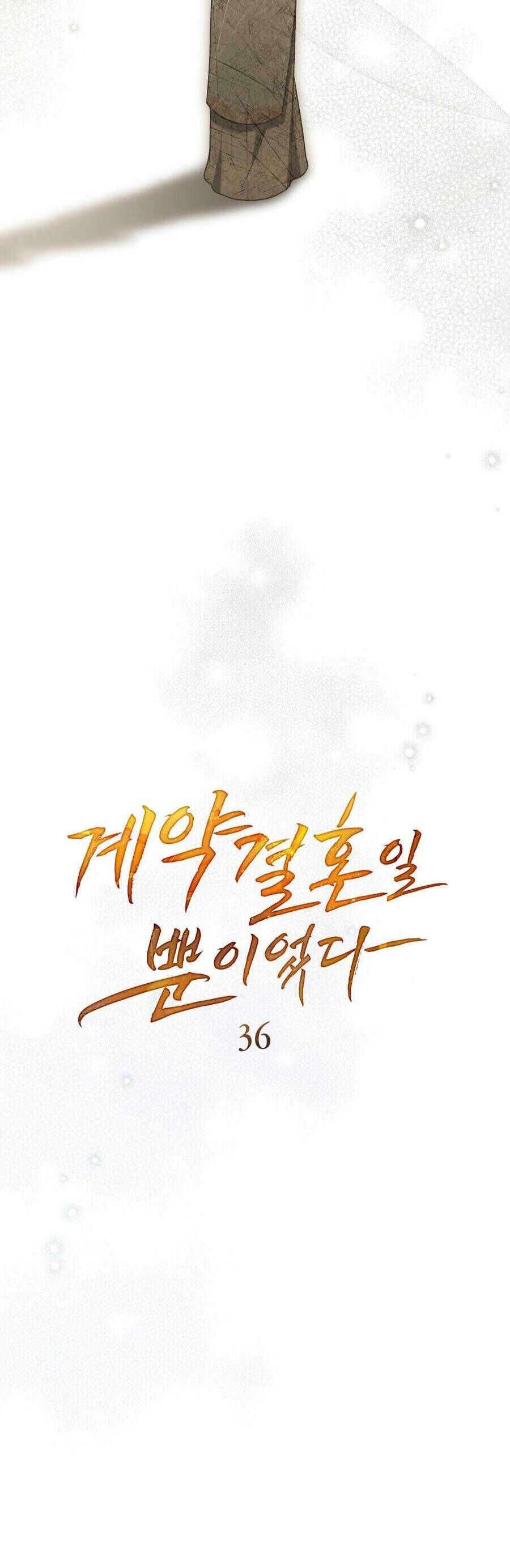 Hôn Nhân Khế Ước Chapter 36 - Trang 2