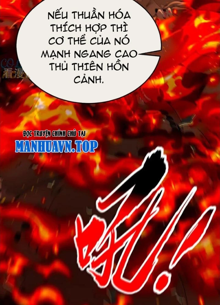 Thập Đại Đế Hoàng Đều Là Đệ Tử Của Ta Chapter 412 - Trang 2