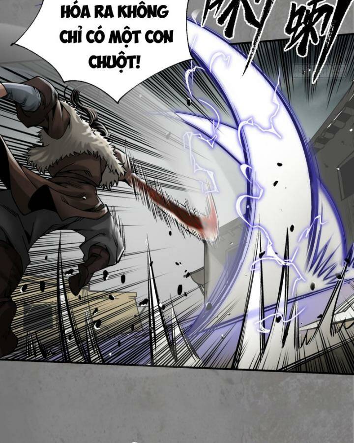 Tàng Phong Hành Chapter 207 - Trang 2