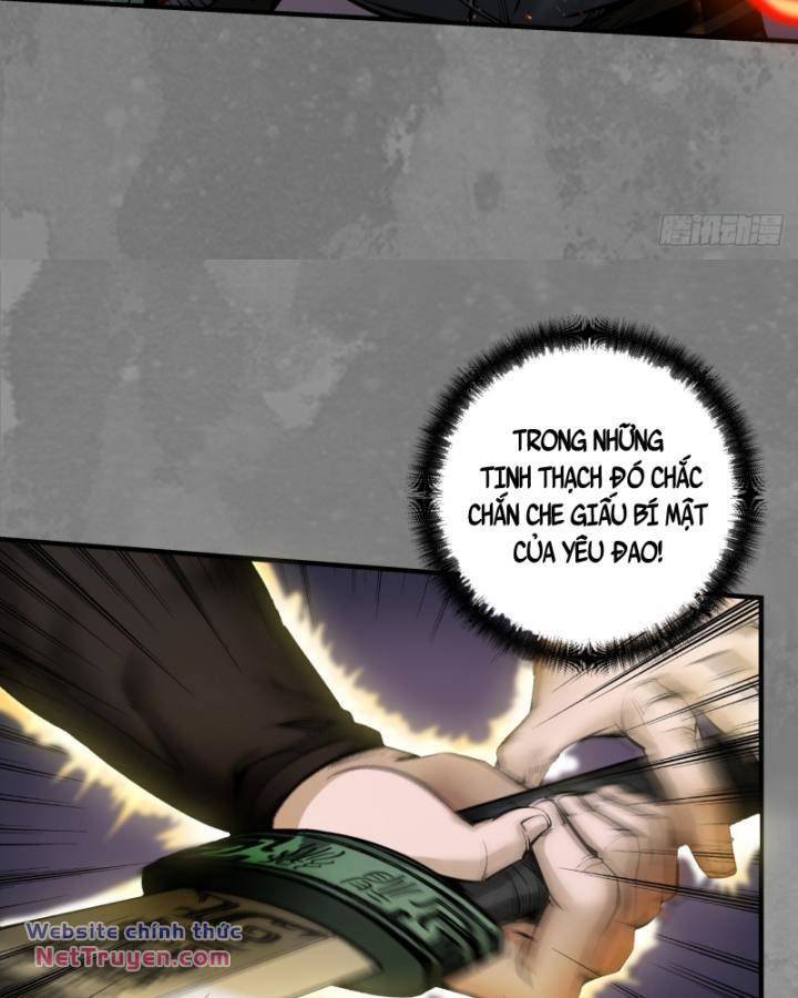 Tàng Phong Hành Chapter 238 - Trang 2