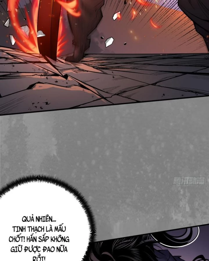 Tàng Phong Hành Chapter 242 - Trang 2