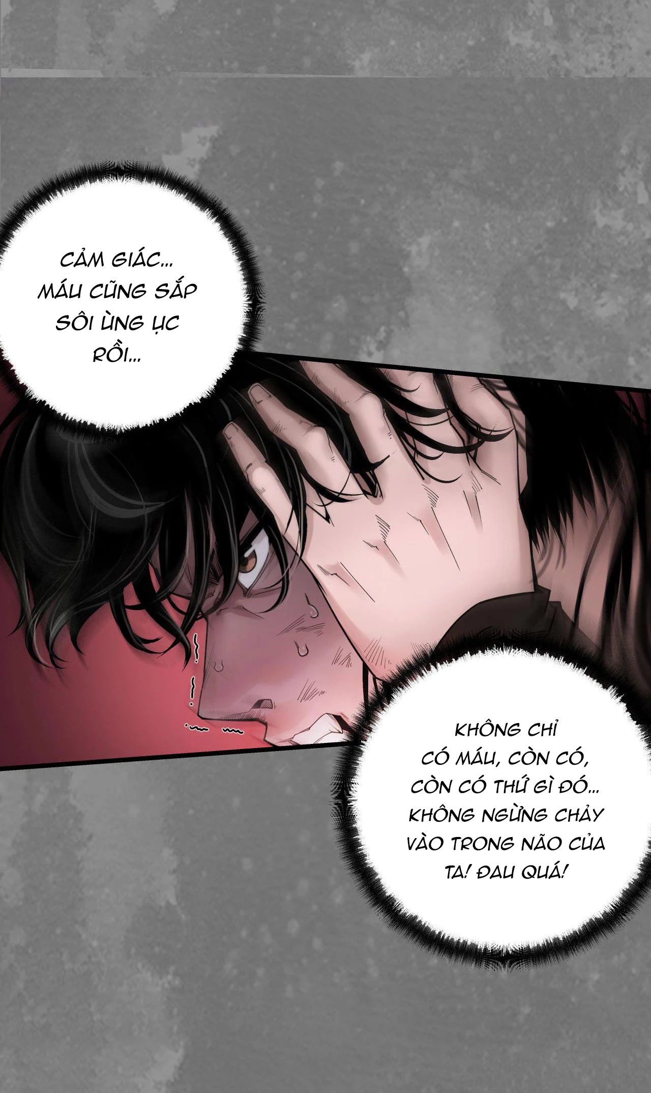 Tàng Phong Hành Chapter 244 - Trang 2