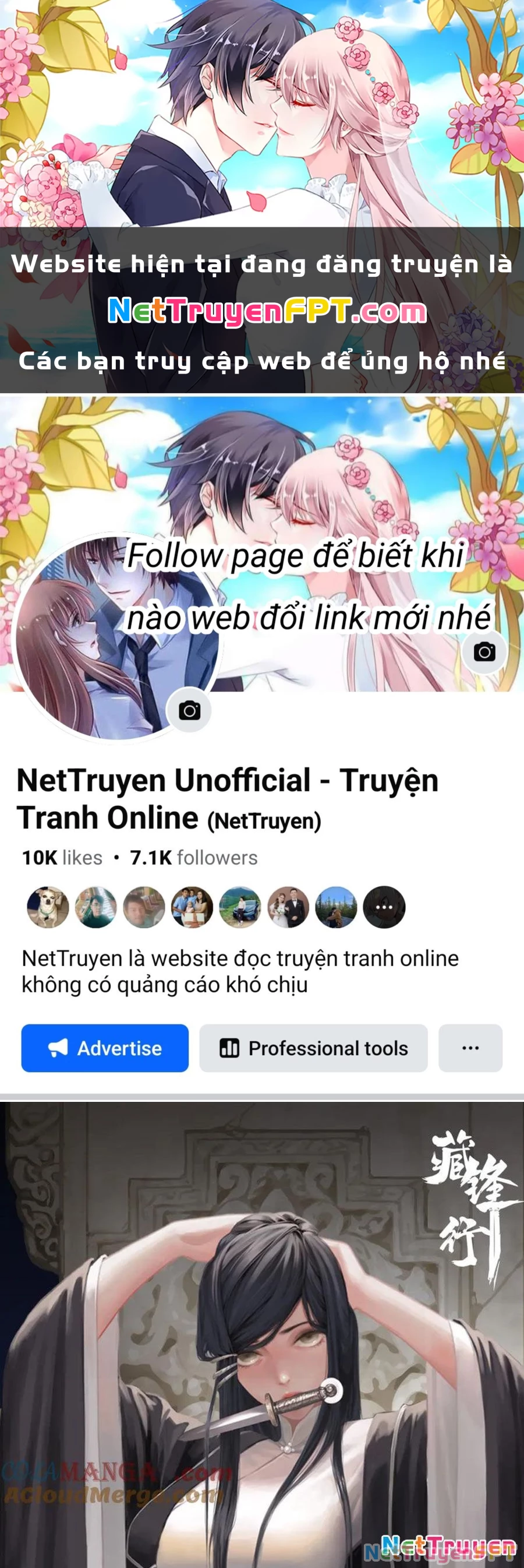 Tàng Phong Hành Chapter 248 - Trang 2
