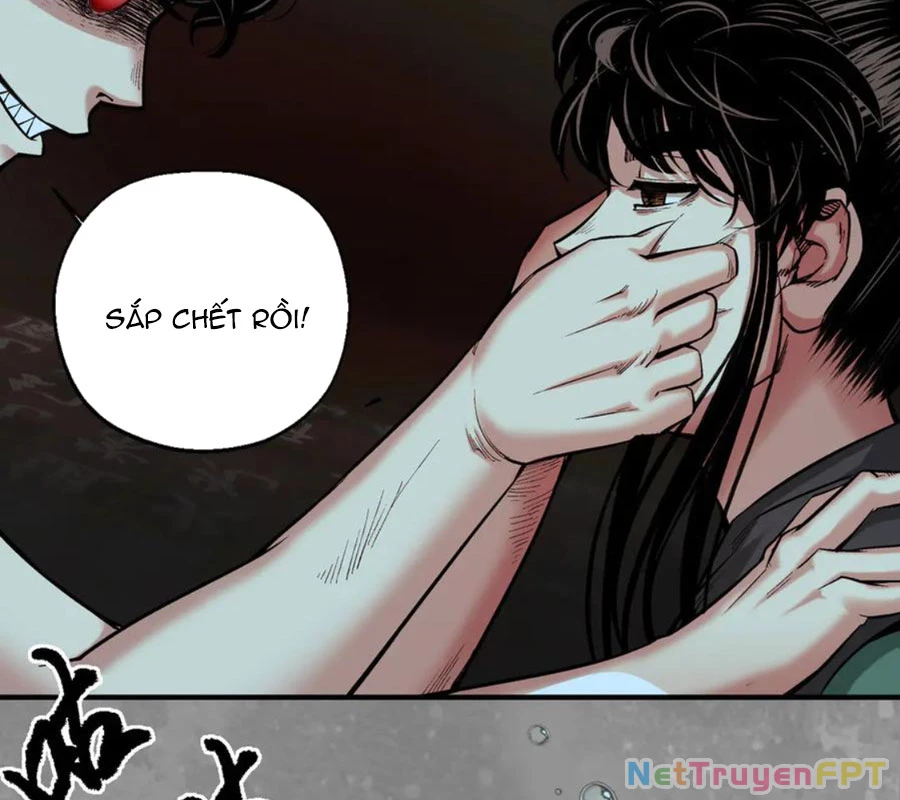 Tàng Phong Hành Chapter 248 - Trang 2