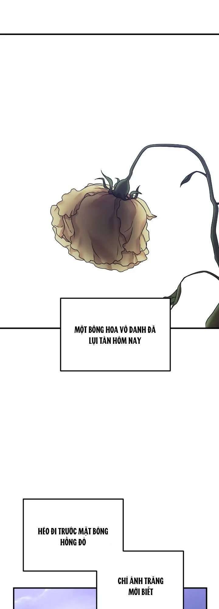 Liên Hôn Phục Thù Chapter 44 - Trang 2