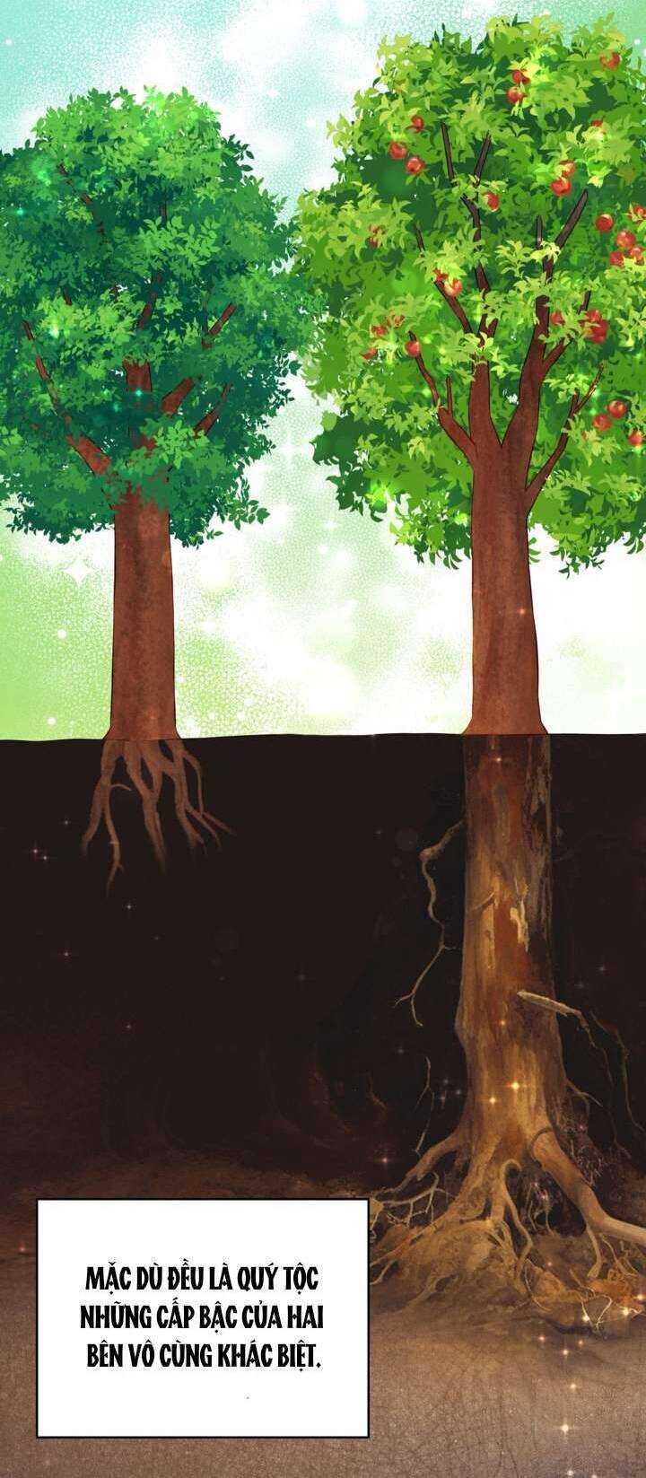 Anh Trai Mạnh Nhất Của Tôi Đã Mất Trí Nhớ Chapter 10 - Trang 2