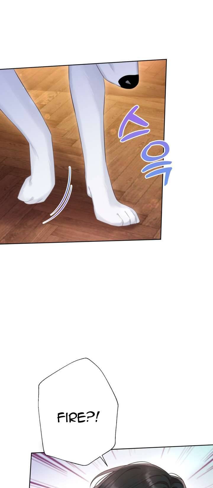 Anh Trai Mạnh Nhất Của Tôi Đã Mất Trí Nhớ Chapter 23 - Trang 2