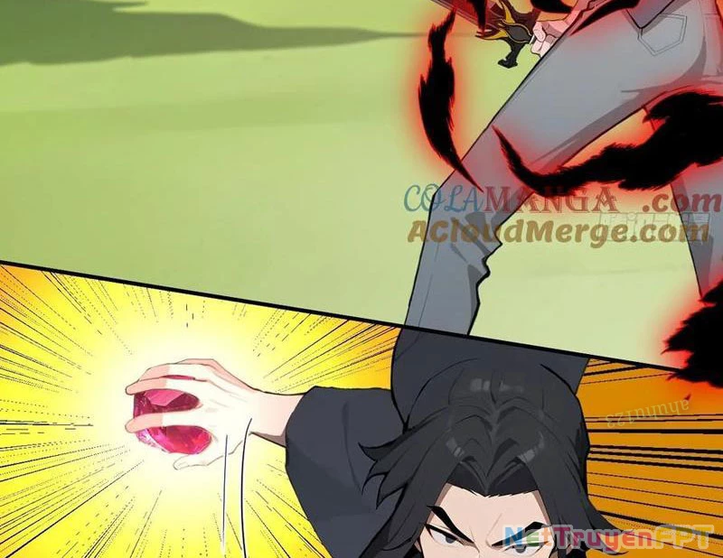 Vô Địch Bắt Đầu Từ Trúc Cơ Chapter 54 - Trang 2