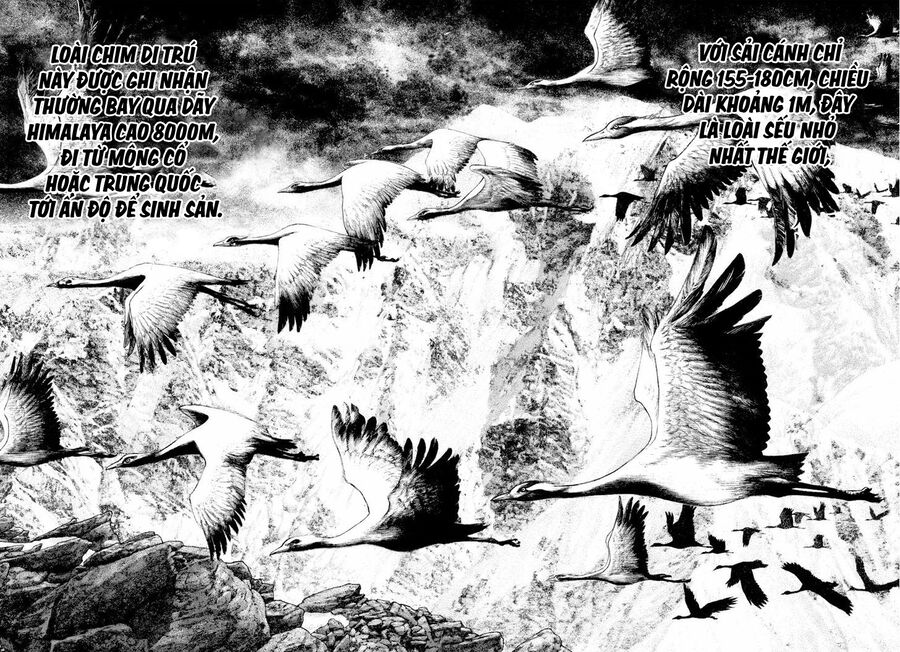 Kokou No Hito Chapter 168 - Trang 2