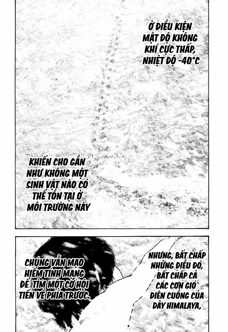 Kokou No Hito Chapter 168 - Trang 2