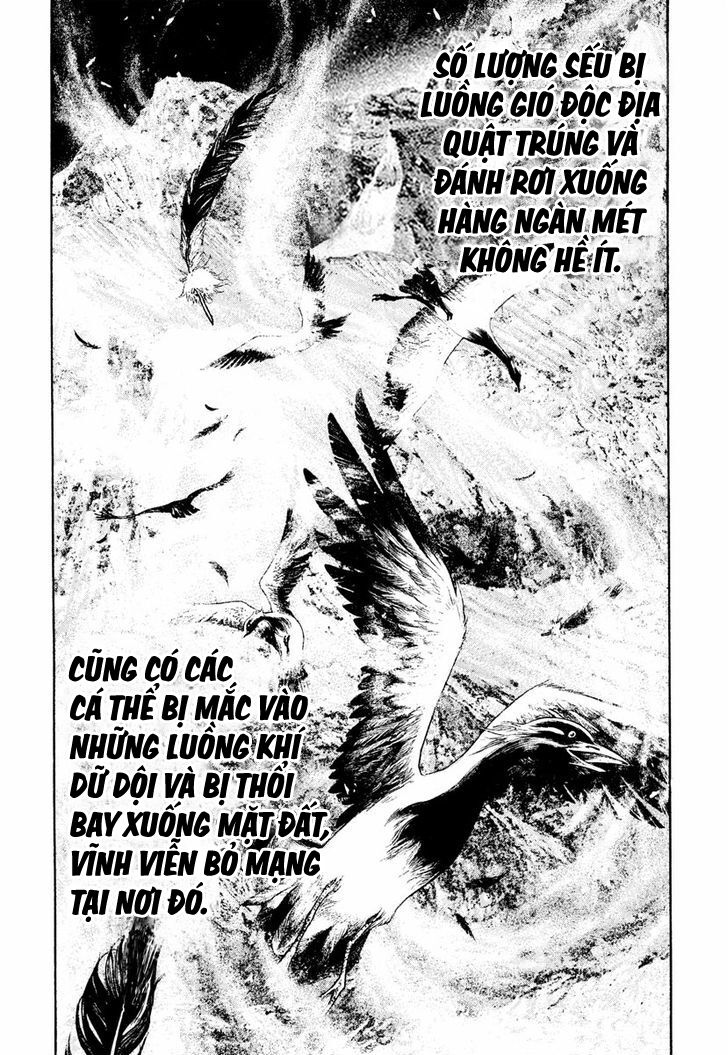 Kokou No Hito Chapter 168 - Trang 2