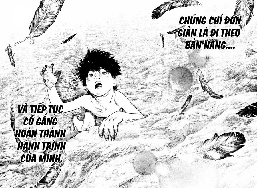 Kokou No Hito Chapter 168 - Trang 2