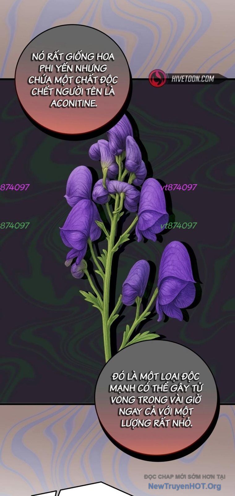 Đây Là Luật Chapter 159 - Trang 2